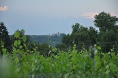 HOME-1-DSC_6710-scaled